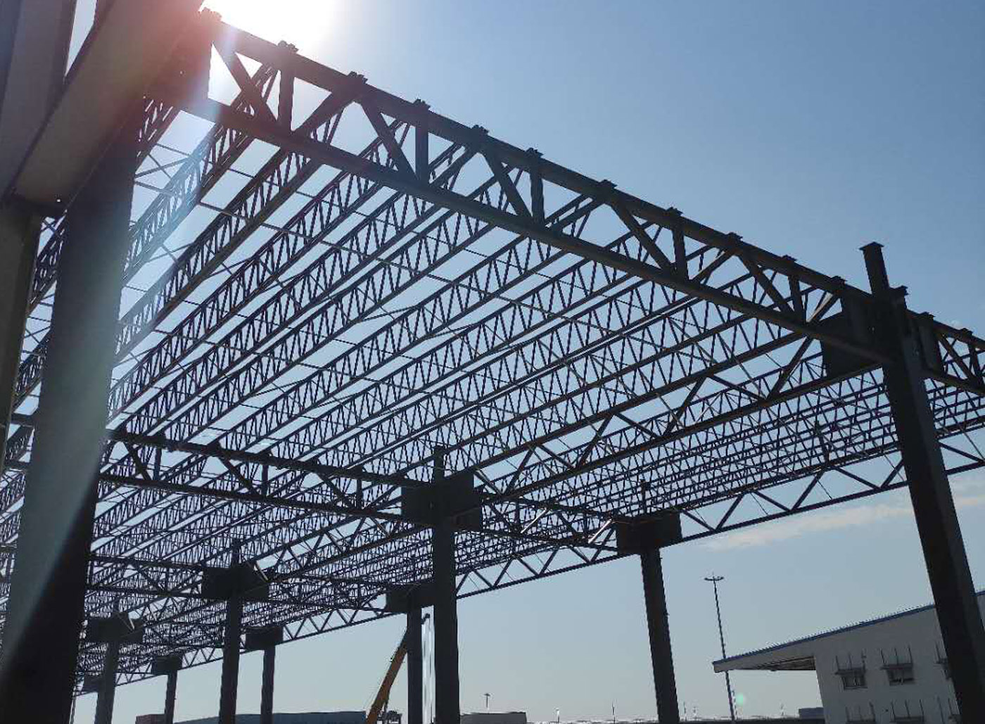 Customs Inspection of Freezer Project